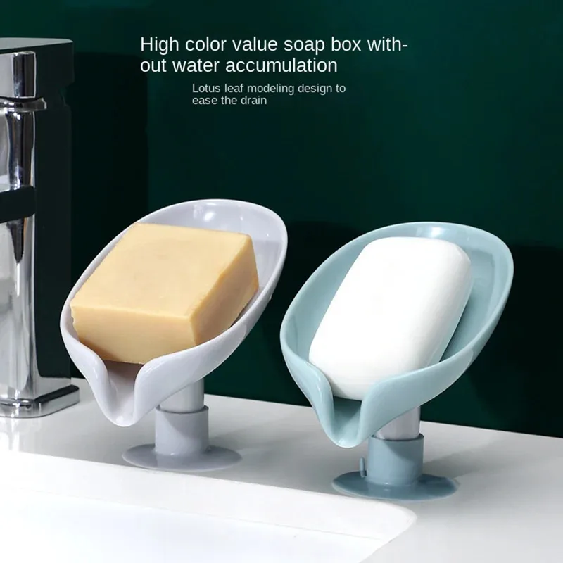 Drain Soap Holder Leaf Shape S - Soap Making Box 리뷰 및 가격